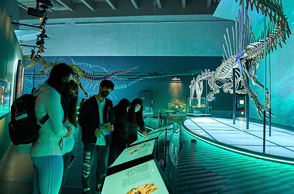 香港科學館恐龍展覽将于二月底結束 市民萬勿錯過